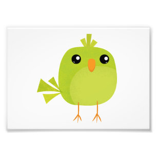 Groene Vogel Cartoon   Foto Afdruk