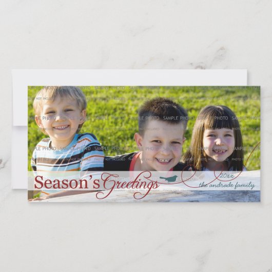 Groene Vogel op Wervelende Kerst Foto Kaart (Voorkant)