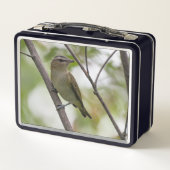 Groene vogel, roodogige video, Canadese fotografie (Achterkant)