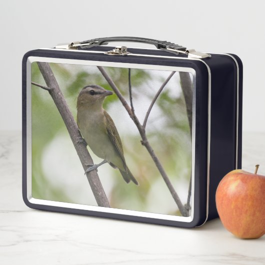 Groene vogel, roodogige video, Canadese fotografie (In situ)