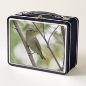 Groene vogel, roodogige video, Canadese fotografie (Voorkant)