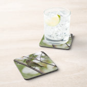 Groene vogel, roodogige video, Canadese fotografie Bier Onderzetter (Rechterzijde)