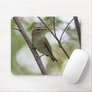 Groene vogel, roodogige video, Canadese fotografie Muismat