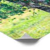 Groene vogelboom verliest Natuur Poster (Hoek)