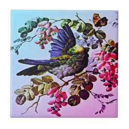  Groene Vogelillustratie door L. Prang & Co   Tegeltje