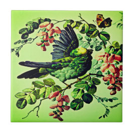  Groene Vogelillustratie door L. Prang & Co  Tegeltje