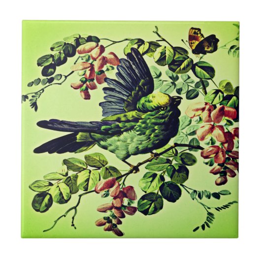  Groene Vogelillustratie door L. Prang & Co  Tegeltje (Voorkant)