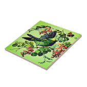  Groene Vogelillustratie door L. Prang & Co  Tegeltje (Zijkant)