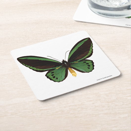 Groene vogelvlinder kartonnen onderzetters (Schuin)