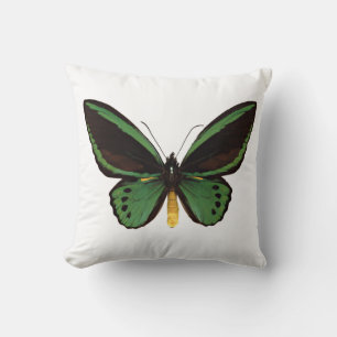 Groene vogelvlinder kussen