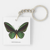 Groene vogelvlinder sleutelhanger (Achterkant)