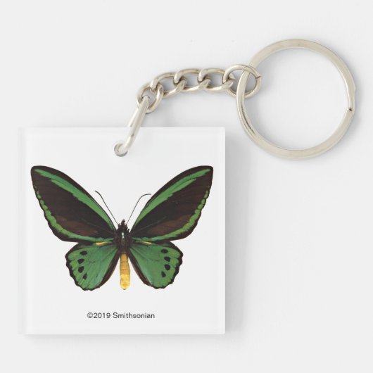 Groene vogelvlinder sleutelhanger (Achterkant)