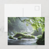 Groene vrede briefkaart (Voorkant / Achterkant)