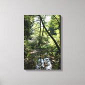 "Groene vrede", Muir Bossen Canvas Afdruk (Voorkant)