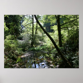 "Groene vrede", Muir Bossen Poster