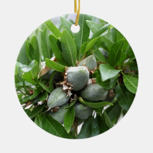 Groene vruchten van een amandelboom keramisch ornament (Voorkant)