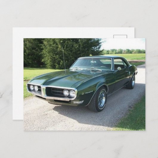 groene vuurvogel briefkaart (Voorkant / Achterkant)