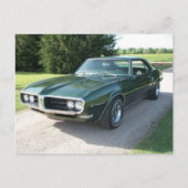 groene vuurvogel briefkaart (Voorkant)