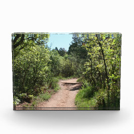 Groene Wandelpad Fotoblokken