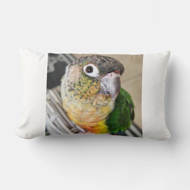 Groene wang Conure Parrot Kussen (Voorkant)