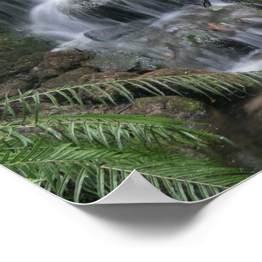 Groene waterval poster (Hoek)