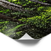 Groene Waterval Refuge Perfect Poster (Hoek)