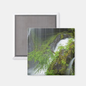 Groene Waterval Scène Magneet (Voorkant / Achterkant)