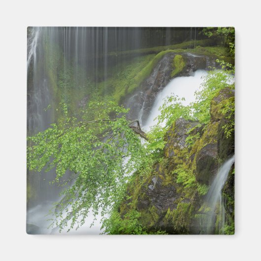 Groene Waterval Scène Magneet (Voorkant)