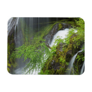 Groene Waterval Scène Magneet