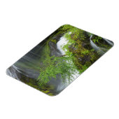 Groene Waterval Scène Magneet (Linkerzijde)
