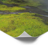 Groene Waterval Scène Poster (Hoek)