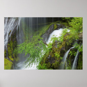 Groene Waterval Scène Poster