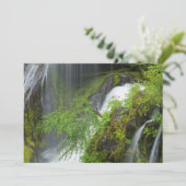 Groene Waterval Scenic Bedankkaart (Staand voorkant)