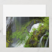 Groene Waterval Scenic Bedankkaart (Voorkant / Achterkant)