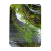 Groene waterval Schilderachtig Magneet (Verticaal)