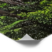Groene Waterval Toevlucht Poster (Hoek)