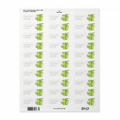 GROENE WATERVERF DESERT CACTUS-STROOMADRES ETIKET (Full Sheet)