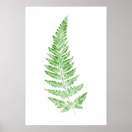 groene waterverf voor fern-schijfblad poster (Voorkant)