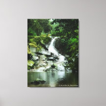 Groene Weelderige Rustige Waterval Indonesië Lands