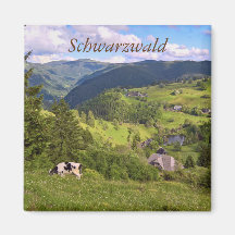 groene weiden en een koe met panorama uitzicht