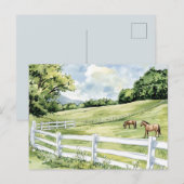 Groene Weiden Ranch Paarden Briefkaart (Voorkant / Achterkant)