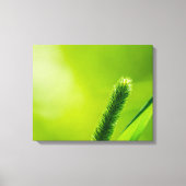 Groene wereld canvas afdruk (Voorkant)