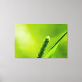Groene wereld canvas afdruk (Voorkant)