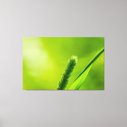 Groene wereld canvas afdruk (Voorkant)