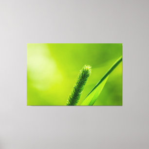 Groene wereld canvas afdruk
