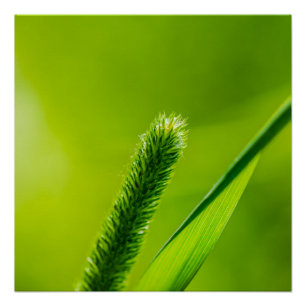 Groene wereld perfect poster