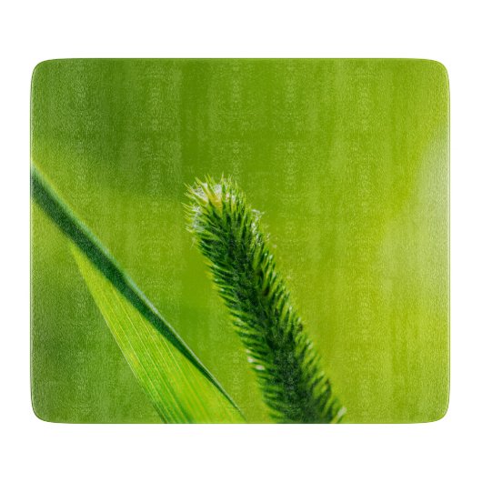 Groene Wereld Snijplank (Voorkant)