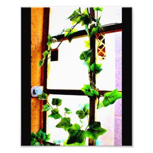 groene wijn foto afdruk