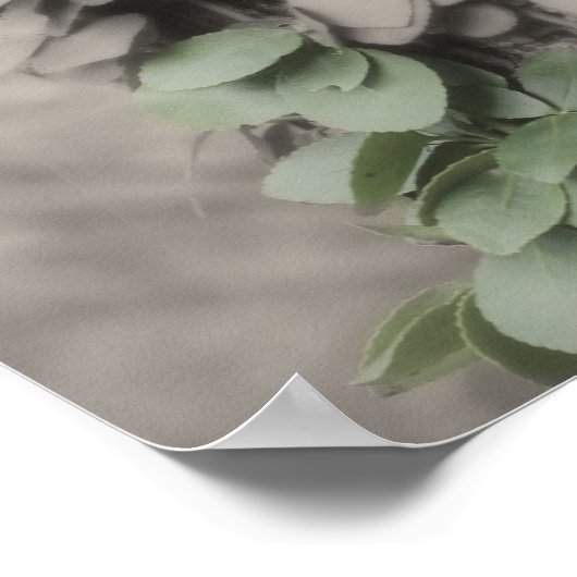 Groene wijnstok op gedeeltelijke structuurkleur poster (Hoek)