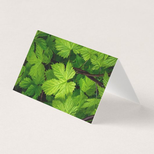 Groene wijnstokken kaart (Voorkant)